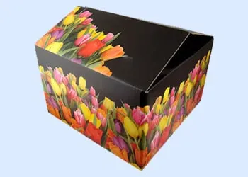 Printed corrugated box manufacturers in Ahmedabad