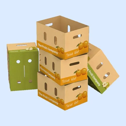 Vegetables & Fruits Packaging Boxes In Ahmedabad